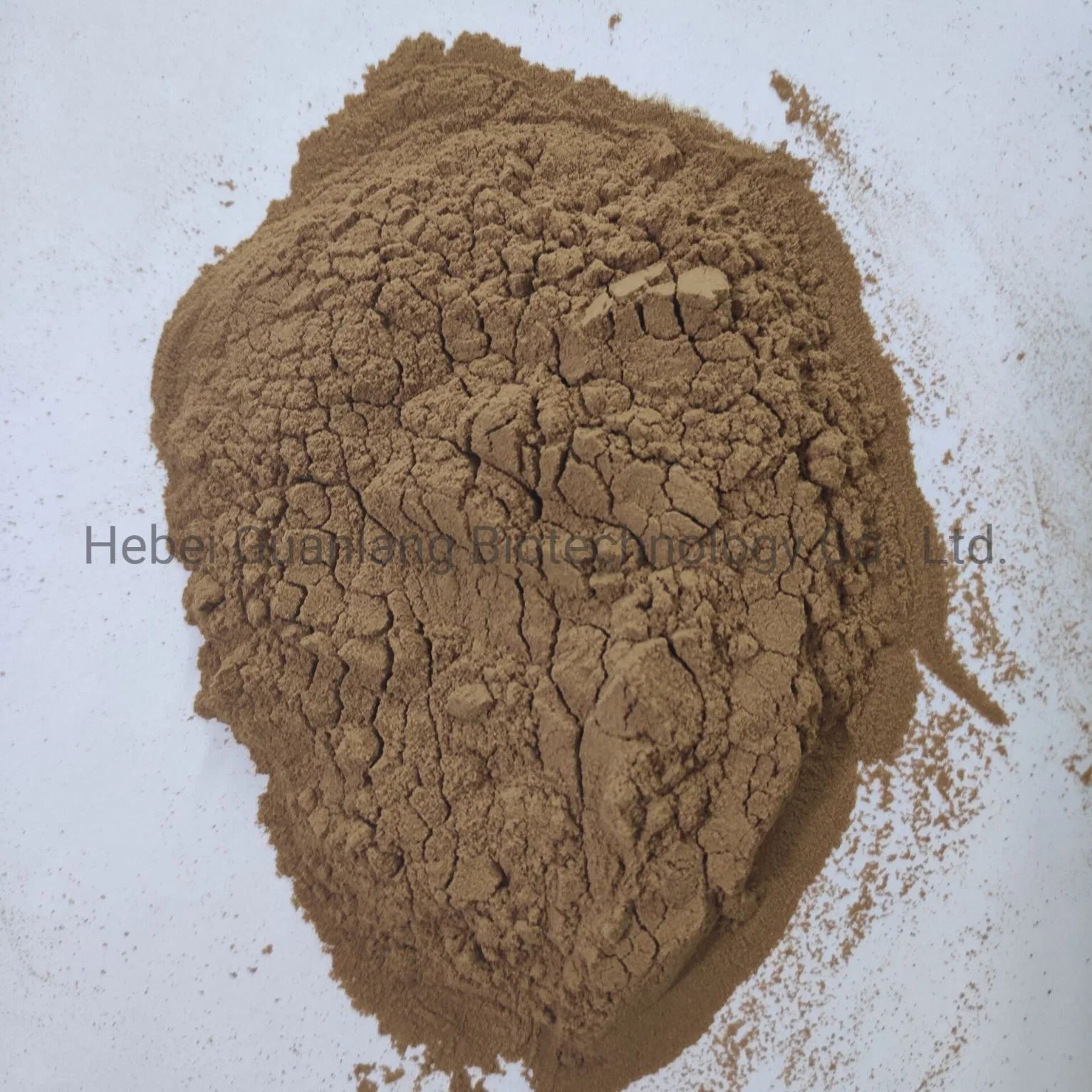 Factory Price Food Additive Caramel Powder CAS 8028-89-5 in Stock