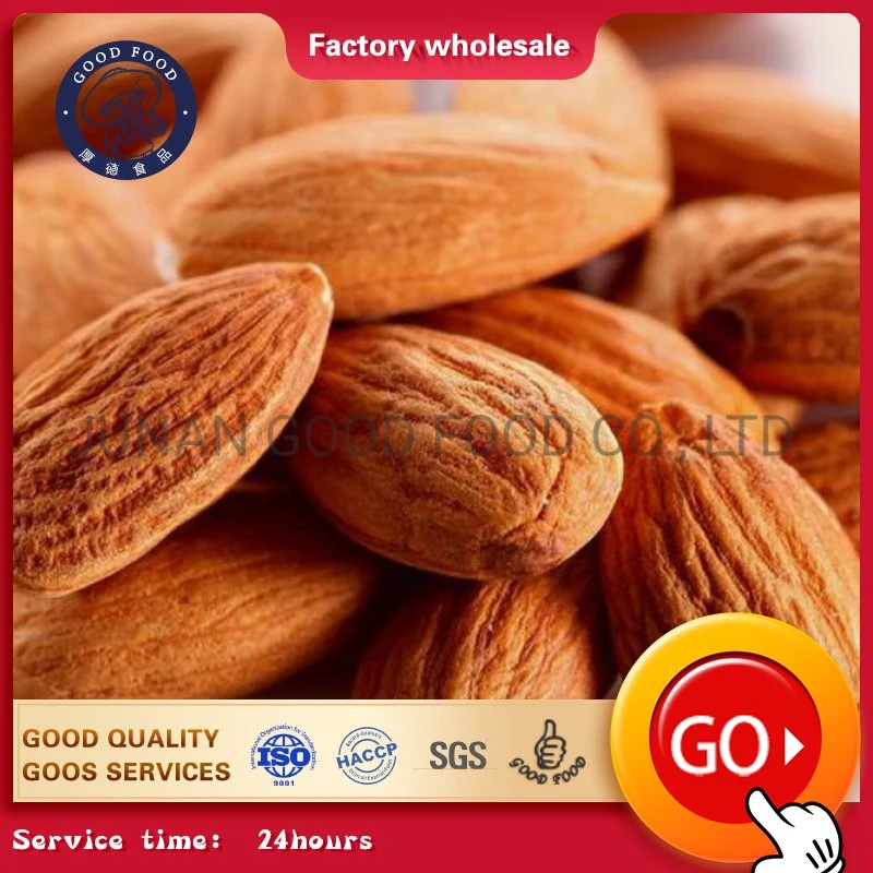 China Dried Organic Almond Carton Packing Almonds Raw