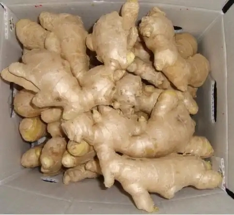 Factory Price Ginger Dry Ginger