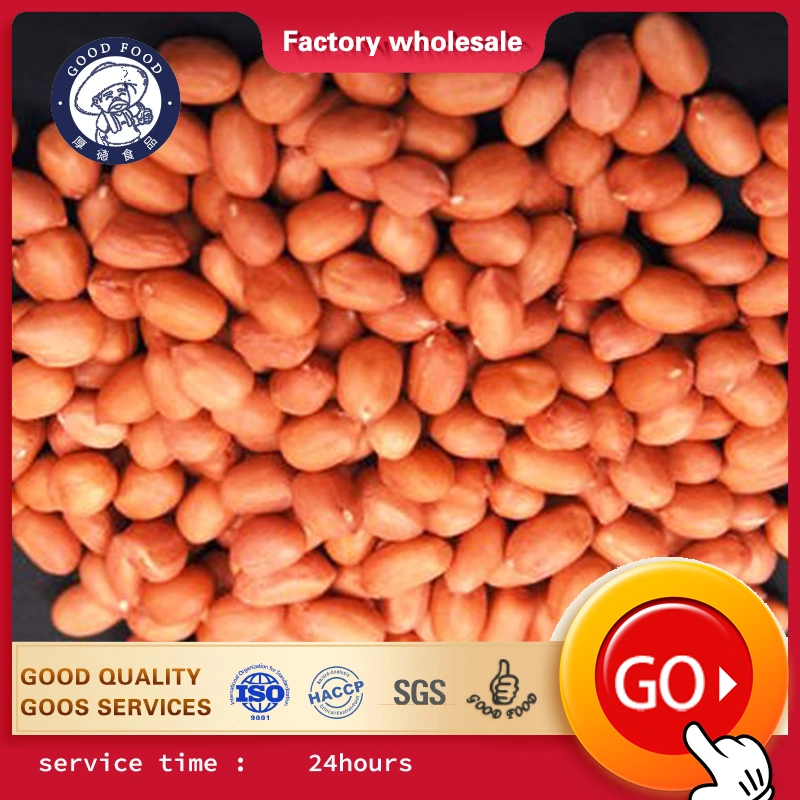 Wholesale/Supplier Peanuts Bulk Wholesale/Supplier Raw Red Skin Kernel Peanut with Factory Price