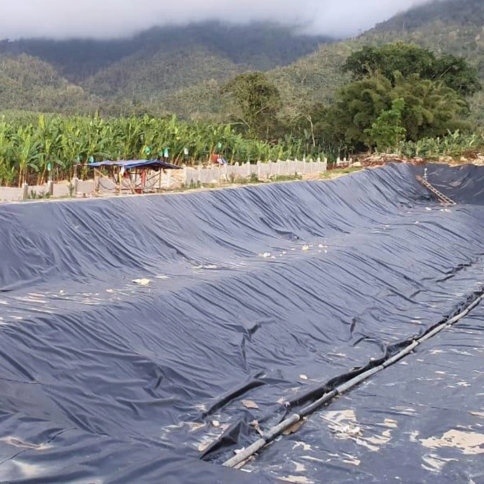 Prix de la géomembrane HDPE texturée lisse imperméable à l'eau anti-fuite en polyéthylène haute densité vierge à 100% en gros pour les revêtements de décharges minières de barrages d'eau de lac et d'étang.