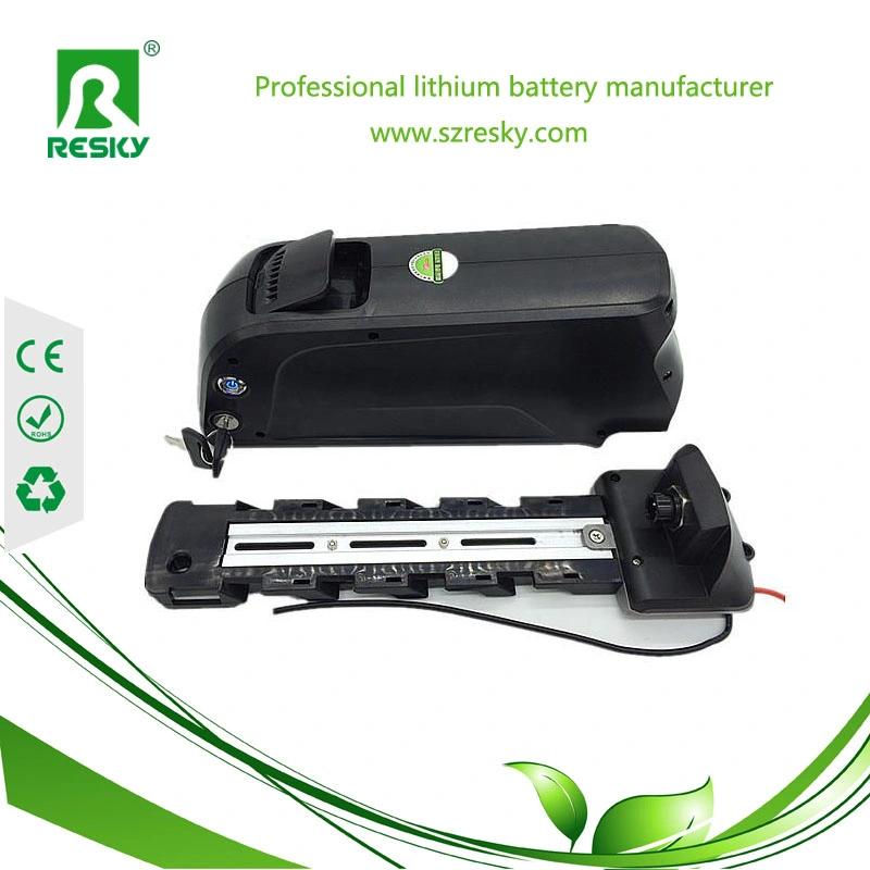 48V 10ah Battery Pack with USB for Fat Ebike