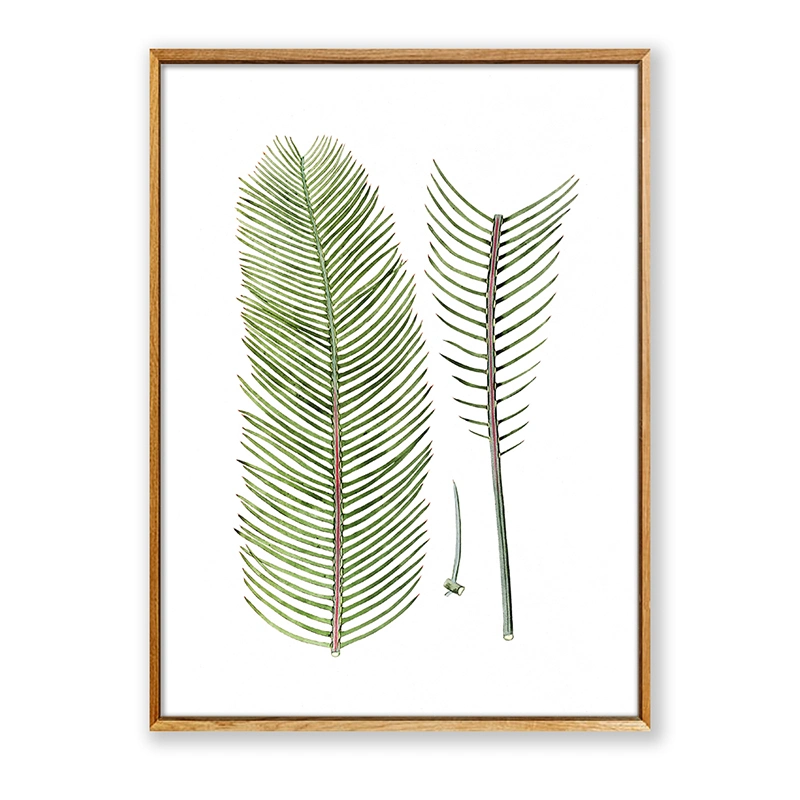Leaves Leaf Botanical Green Canvas Wall Art Printing Modern Home Decoration PS Frame Picture Display Painting