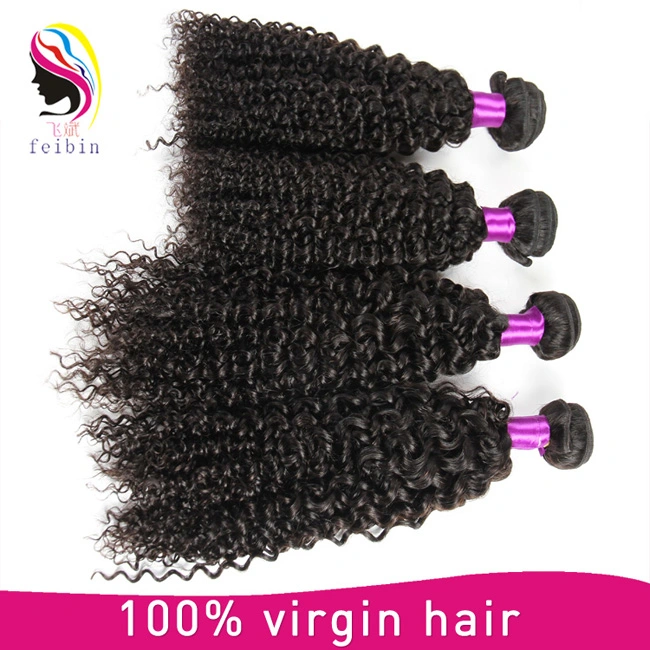 Wholesale/Supplier African Kinky Human Hair Afro Kinky Hair Extensions