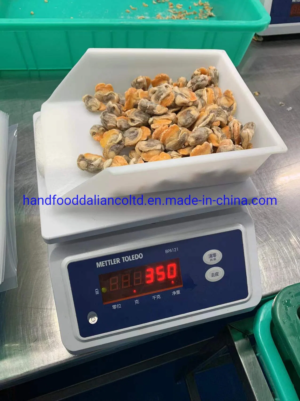 High quality/High cost performance  Seafood of Frozen Cooked Arkshell Clam Meat