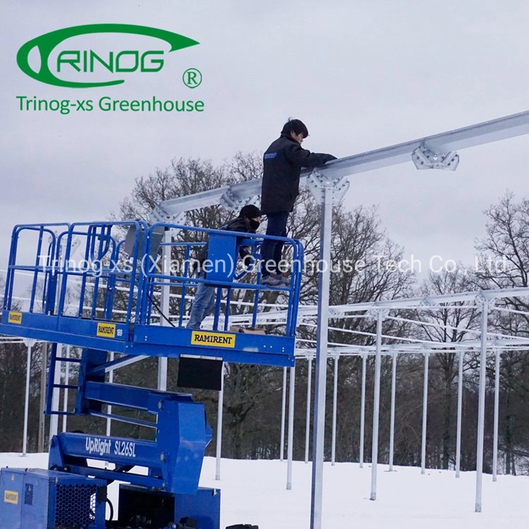 Trinog greenhouse agricultural muti-span high tunnels greenhouses for farm facilities equipment