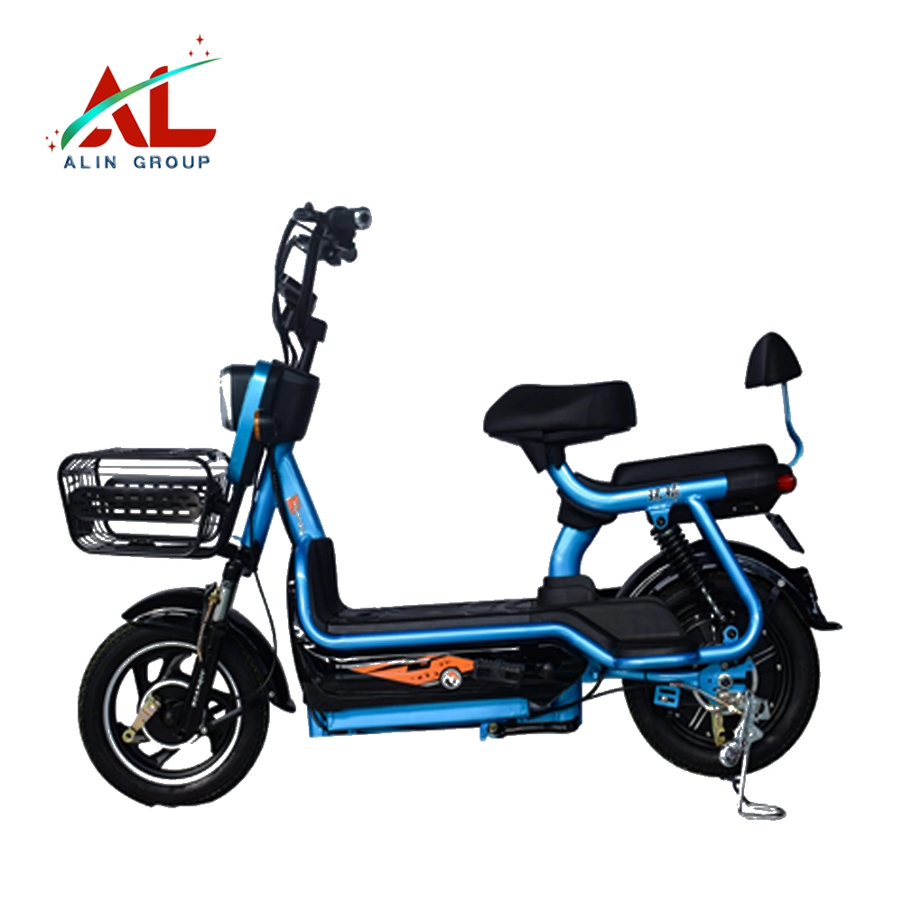 Al-Bt Electric Bike with Battery Price