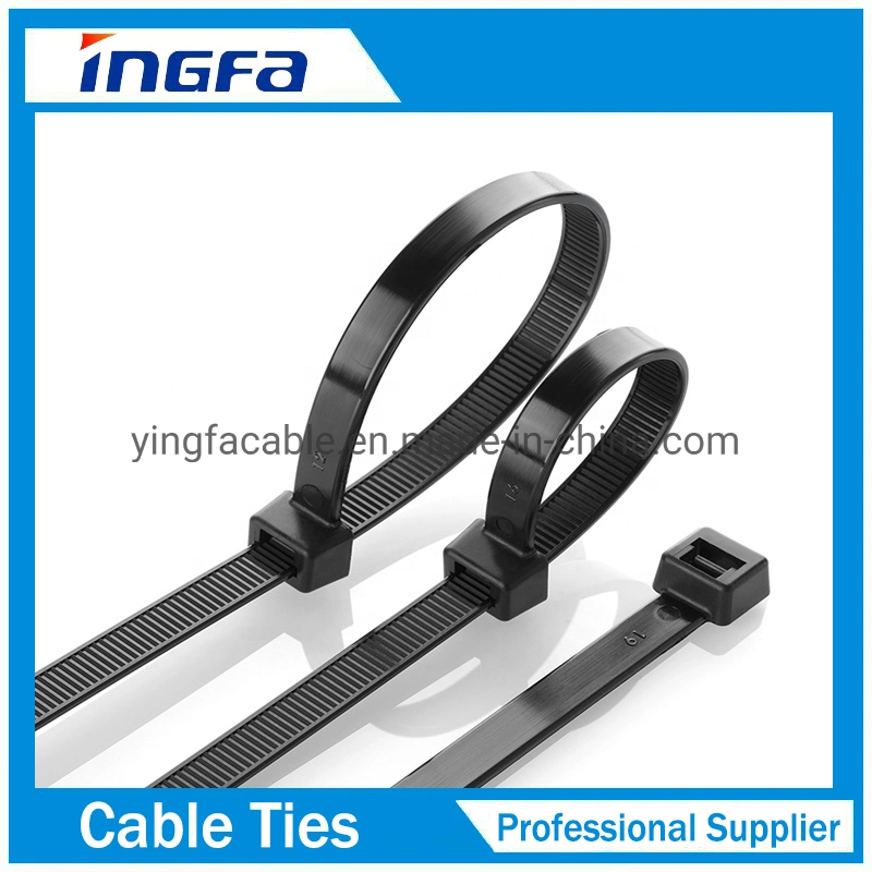 Brida de cable de cabeza de nylon