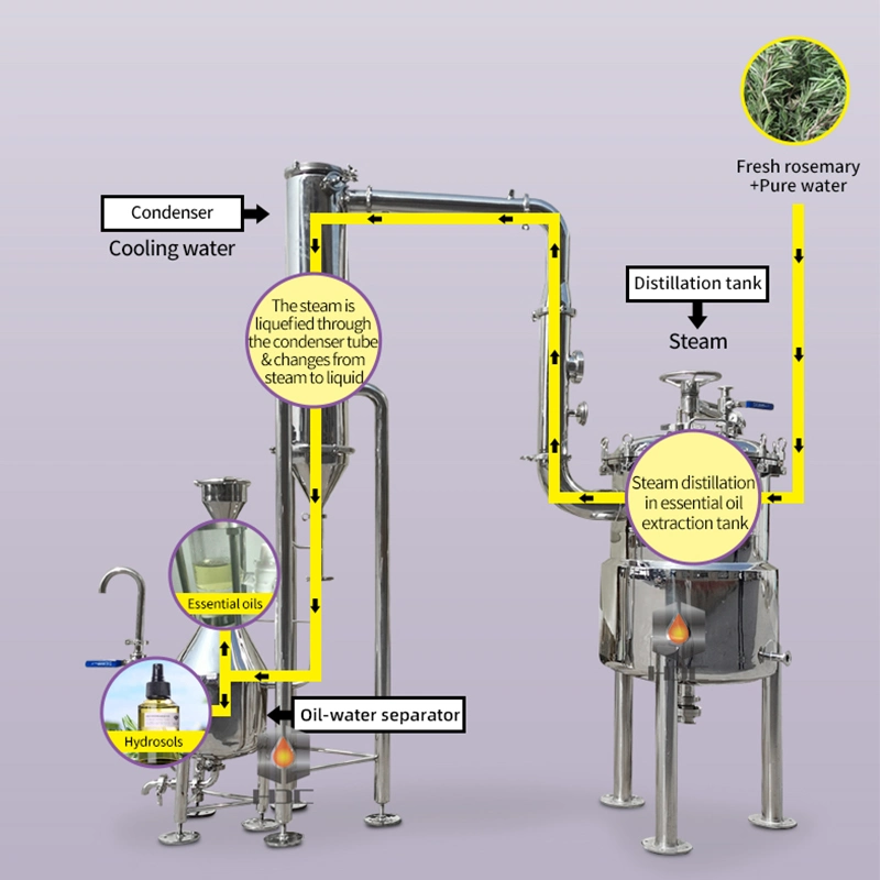 Lab Extractor Distiller 100L Plant Flower Essential Oil Extraction Machine