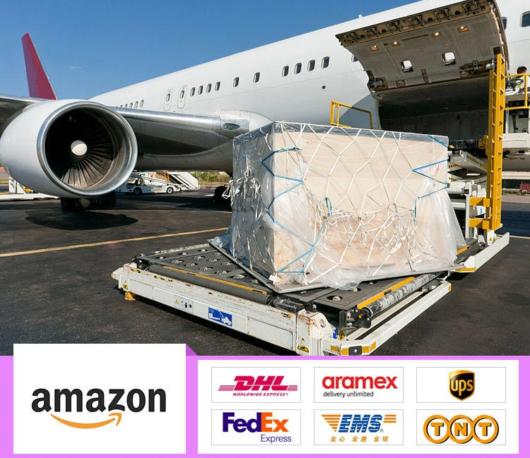 Shipping Companies DHL Express From China to World Wide Fast Service DHL Freight Forwarding