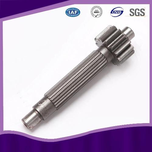 Stainless Steel Worm Gear Shaft with ISO 9001 Approved