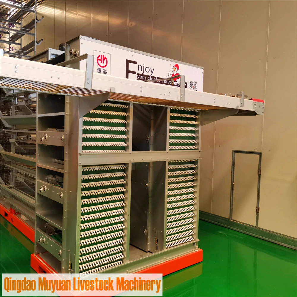 Factory Directly H-Type Layer Chicken Battery Cage for Algeria Farm