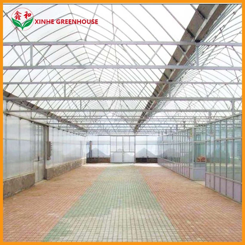 Venlo Structure Flower Fruits Polycarbonate Garden House Greenhouse with Heating System