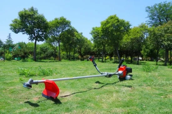 Gas gasolina Inicio rápido de la cortadora de pincel con el GX35, con CE (TM-CG430TB)