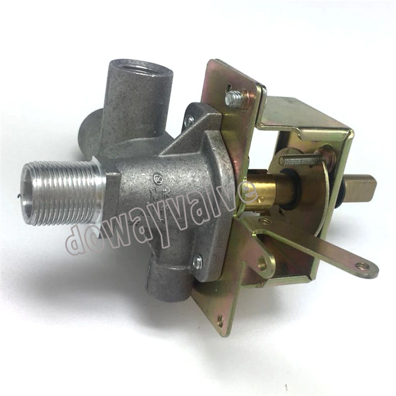 20 Years Experienced Auto Lighter Gas Cooker Range Valve Built in Hob China Factory