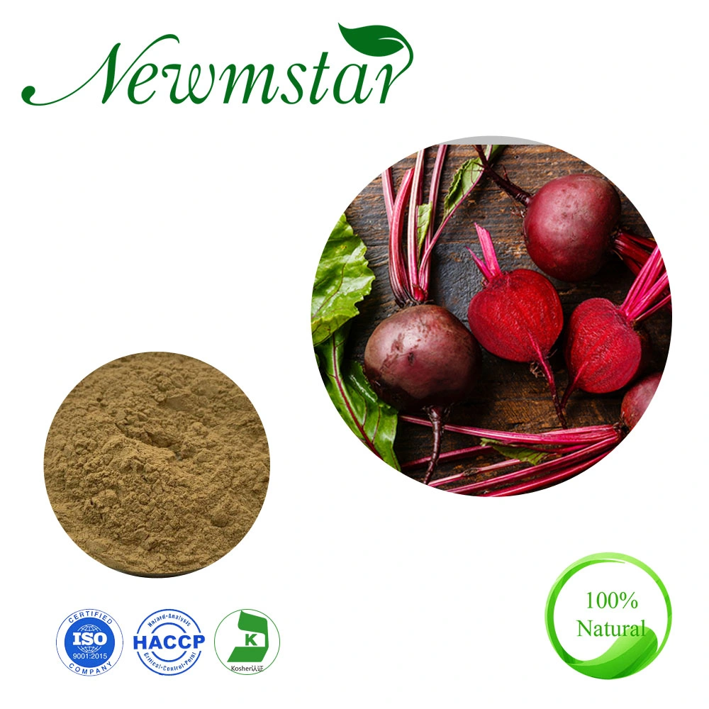 Beverage Beta Vulgaris L. /Betaine Beet Root Extract Beetroot Extract