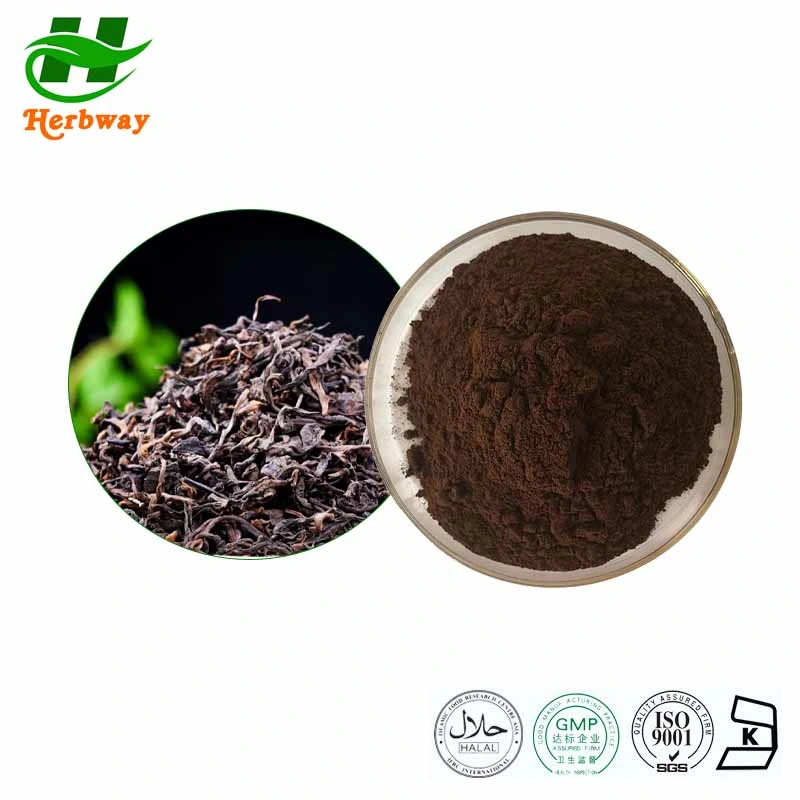 Herbway Kosher Halal Fsc HACCP معتمد من قبل Thiaflavin Camellia Sinensis Var. مستخرج شاي أساميكا بير