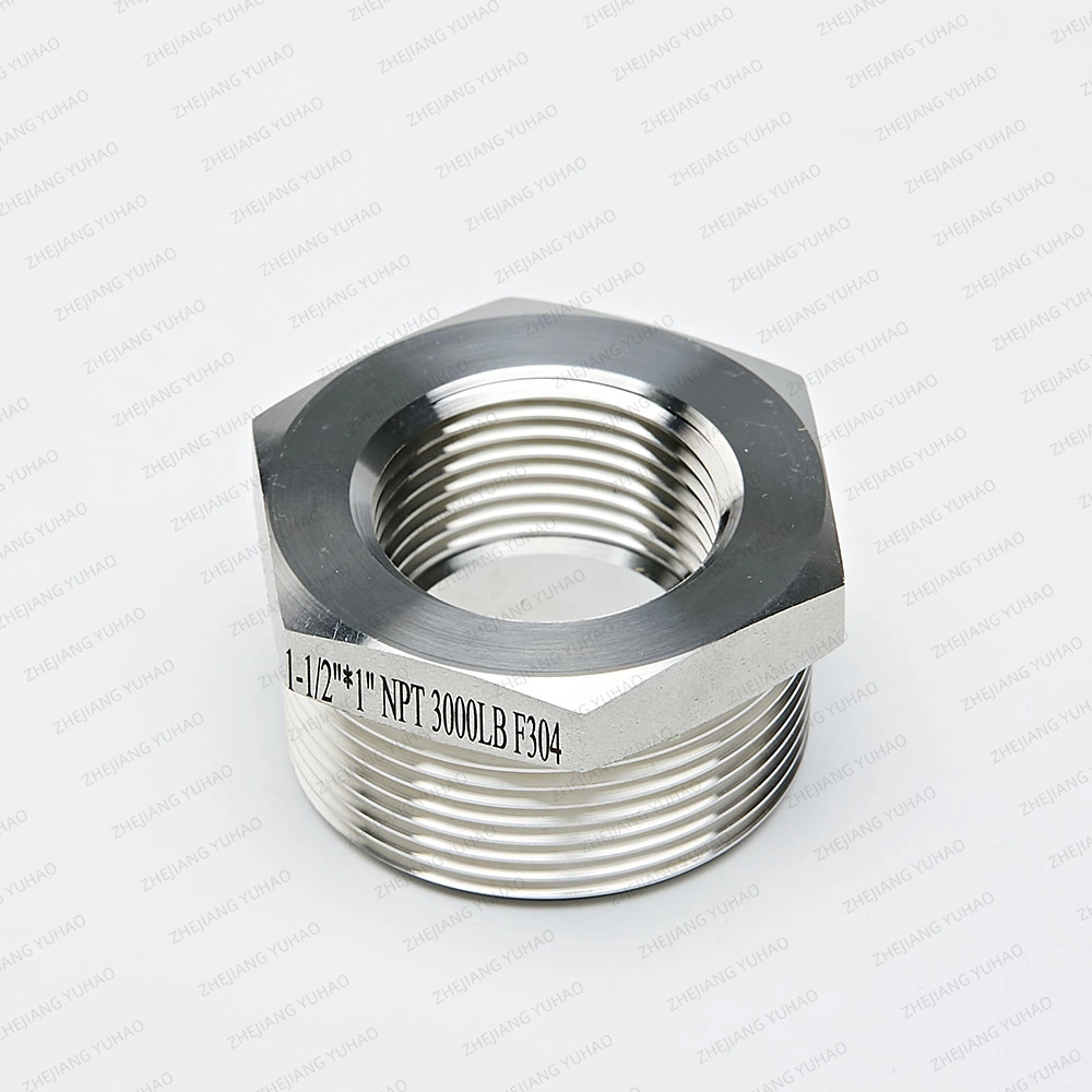 Bushing Stainless Steel Pipe Fitting Female NPT Thread Male NPT Thread Hex Bushing 3000lbs