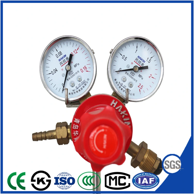 Factory Supplier Propane Regulator with Good Selling