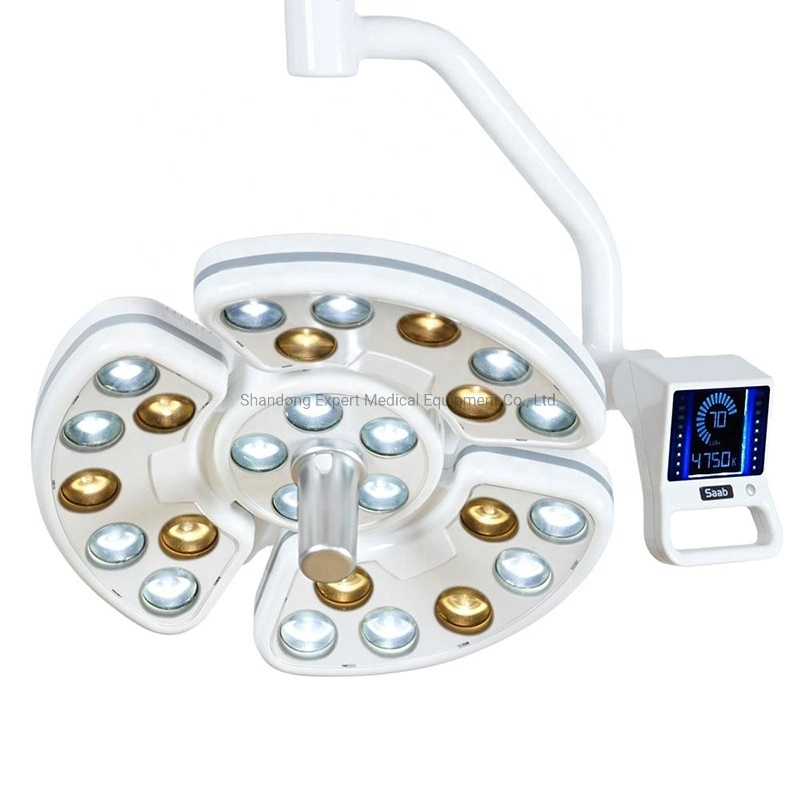 CE métal électrique 18W à LED Lampe dentaire C6 lumière orale Chirurgie vétérinaire de la lumière au plafond