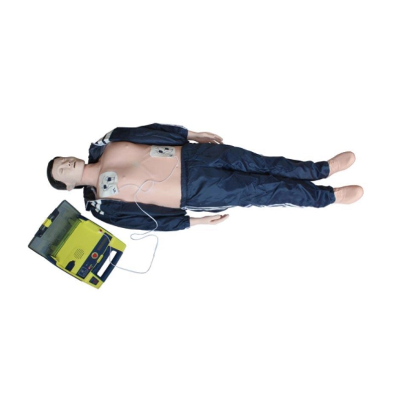 First Aid External Defibrillation & CPR Manikin