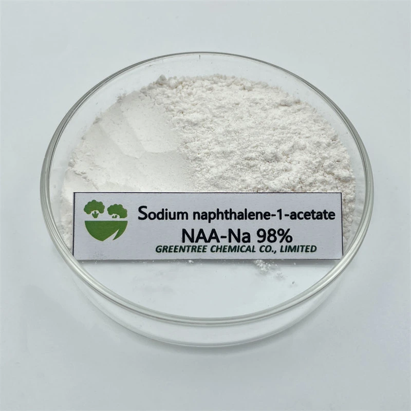 CAS No. 61-31-4 Auxin Alpha Na-Naa Sodium 1-Naphthaleneacetate 98%