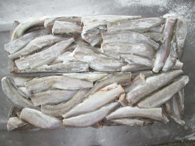 Frozen Southern Blue Whiting Fish Fillet