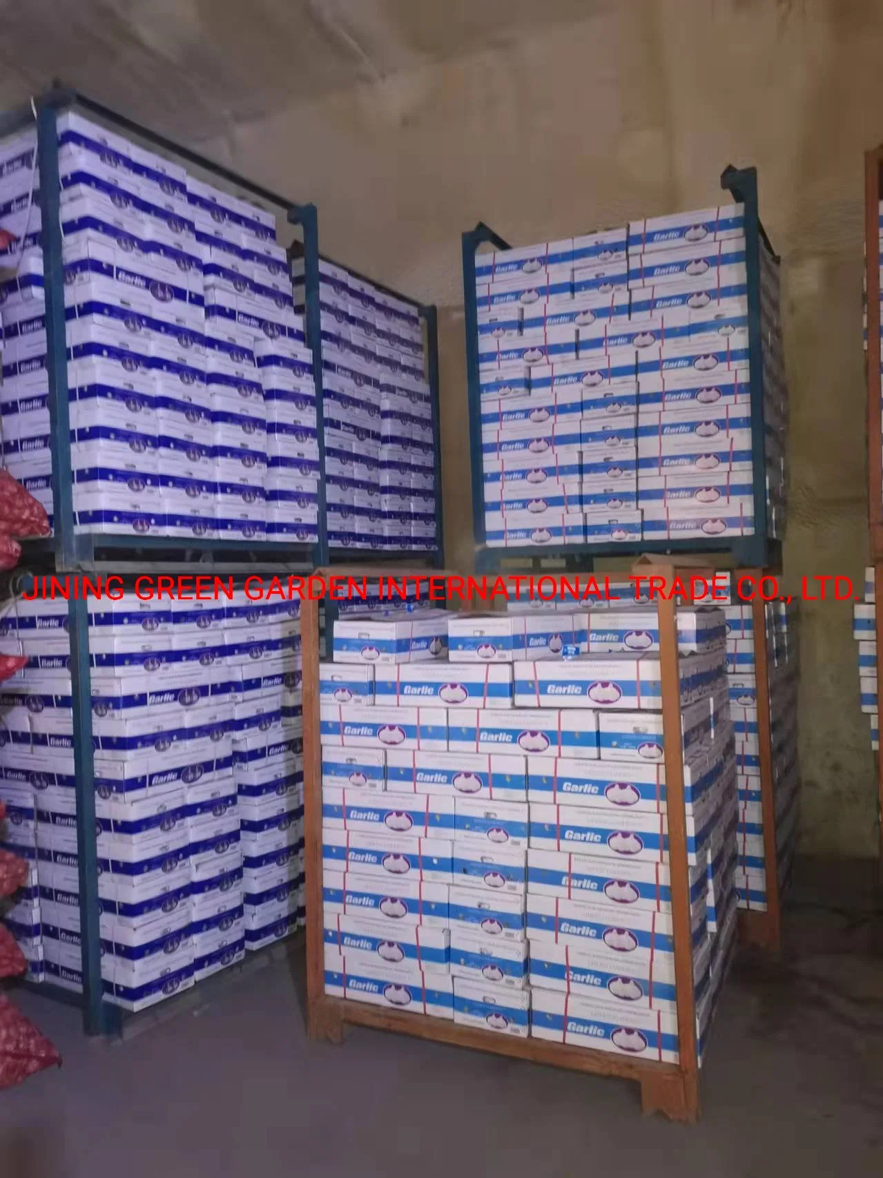 2022 New Crop Fresh White Garlic Farm, 2021 New Crop Mesh Bag Carton Pack by 3PC, 4PC, 5PC, 6PC, 7PC, 500g, 1kg, 3kg, 5kg, 10kg, 20kg Vary Size White Garlic