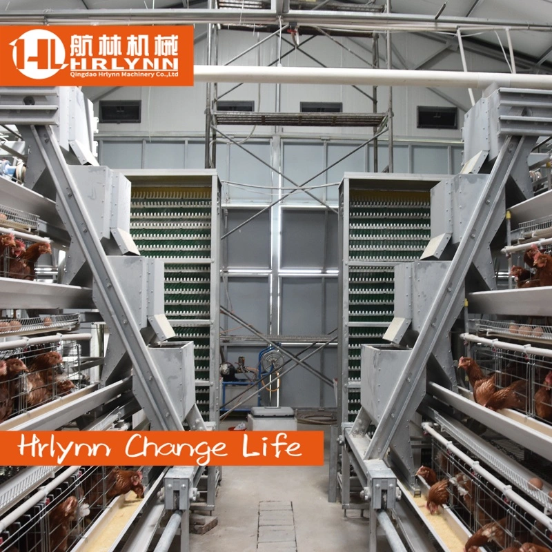 Chicken Cage Egg Layer Chicken Cage Poultry Farm A Type Cages