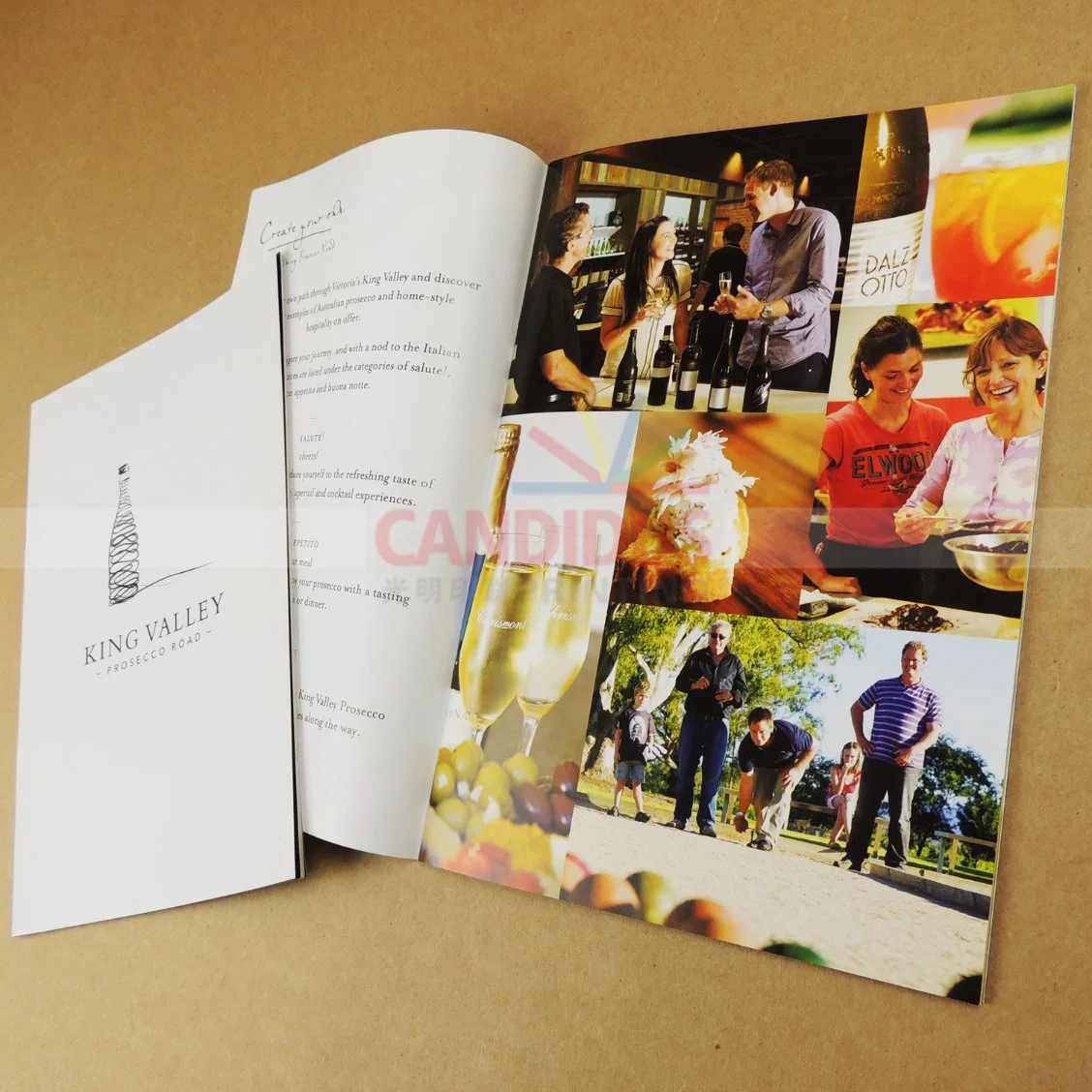 Cost-Effective Catalog Printing Booklet Brochure Printing