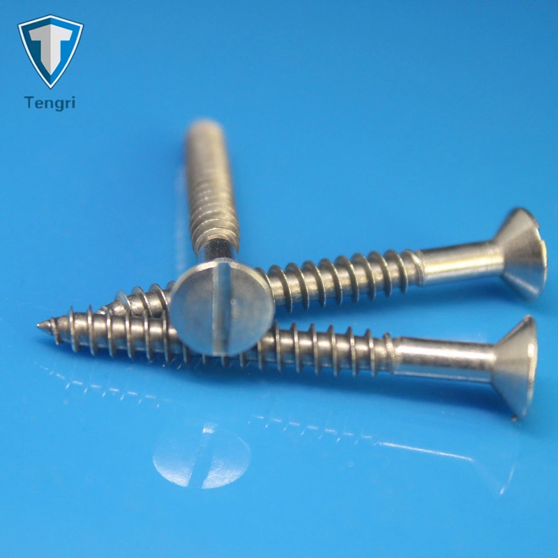 Fabricante de sujetador de alta calidad Tengri 18-8 #2-#18 Todos los tamaños de cabeza plana ranurado Tornillo de madera Tornillo autorroscante DIN DIN DIN979695