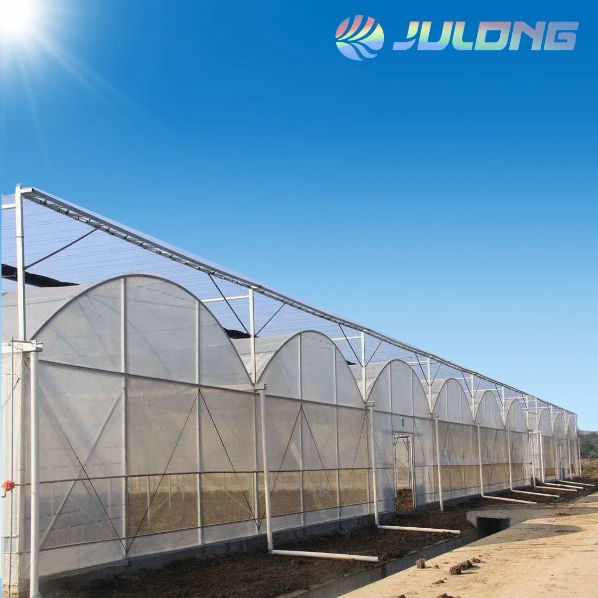 Hot Sales Products Multi Span Film Greenhouse with Soilless Cultivation Planting