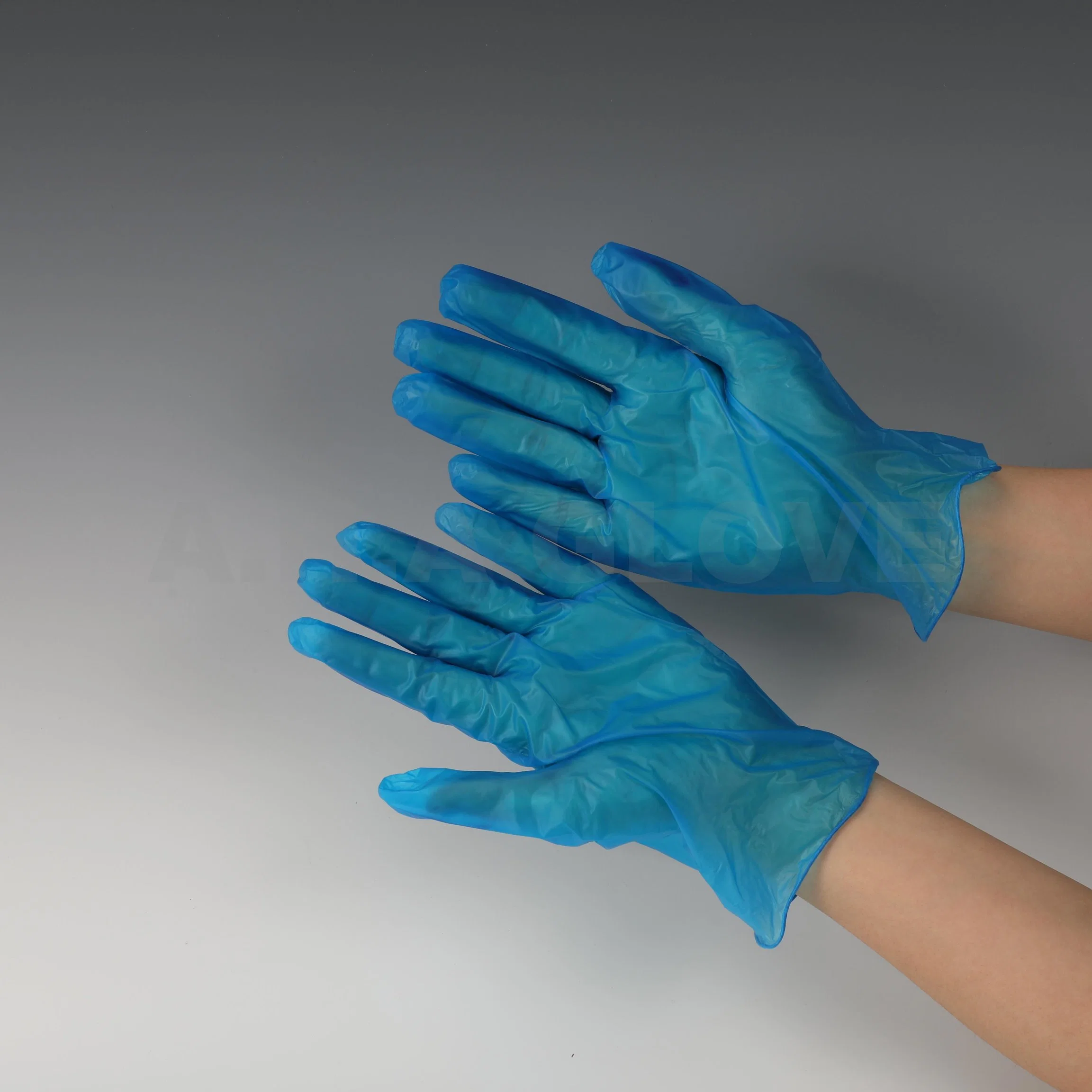 Medical PVC Dental Examination Gloves Safety Vinyl Work Glove for Dental Clinic