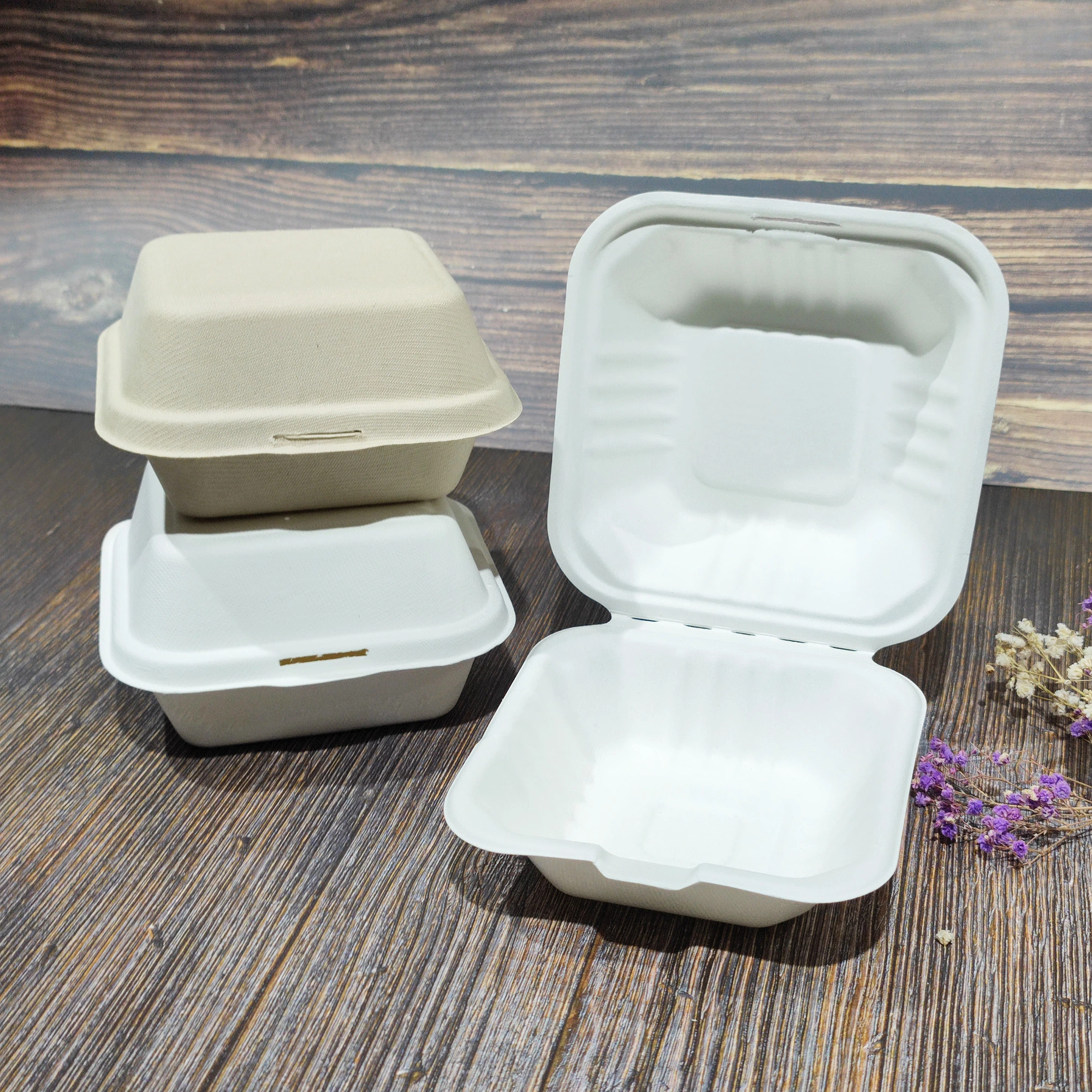 Caña de Azúcar Eco-Compostable Tapa caja de comida para llevar desechables biodegradables de bagazo para llevar comida contenedor compartimiento Embalaje