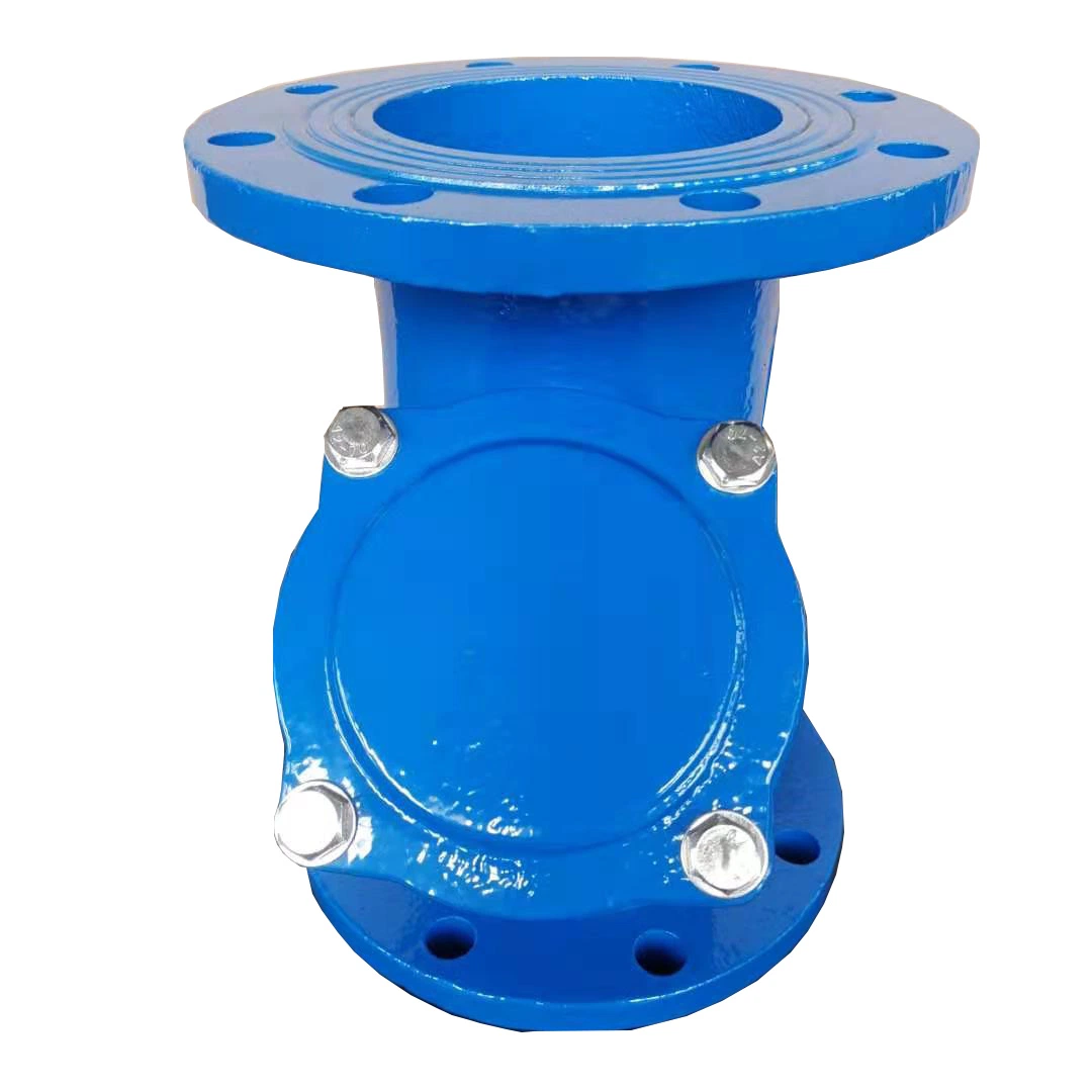 DIN/ANSI/JIS Standard Ductile Iron/Grey Cast Iron/Copper Alloy Flange Ends with Y Strainer/Filter for Water