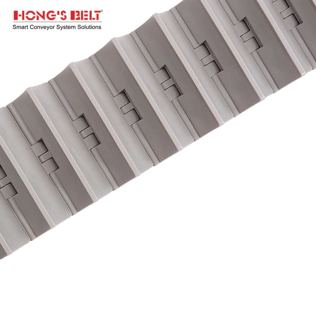 Hongsbelt HS-820-K400-26mm Cleat Slat Top Chain with Actal Material Table Top Chain for Fish Industry
