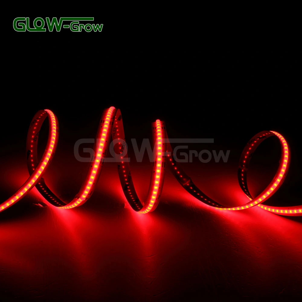 Indoor Use 5m 14W/M LED RGB COB Strip Light with Multicolors and Multifuctions