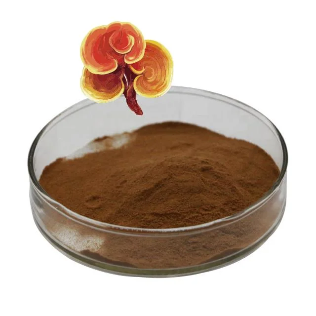 Ganoherb Natural 100% orgánico Extracto de Ganoderma lucidum Reishi Extracto de champiñón en polvo