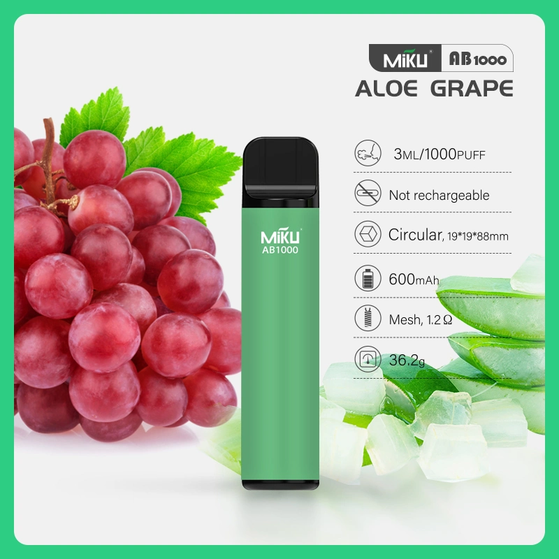 Fábrica China Venda por grosso Vape sabor de fruta e-cigarro Vape Vape descartável 1000 Puffs e-Hookah