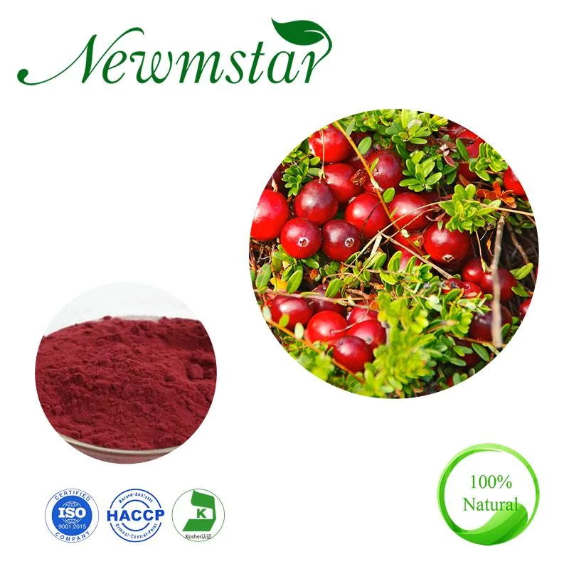 Extracto de fruta de 100% de Cranberry natural com amostra gratuita