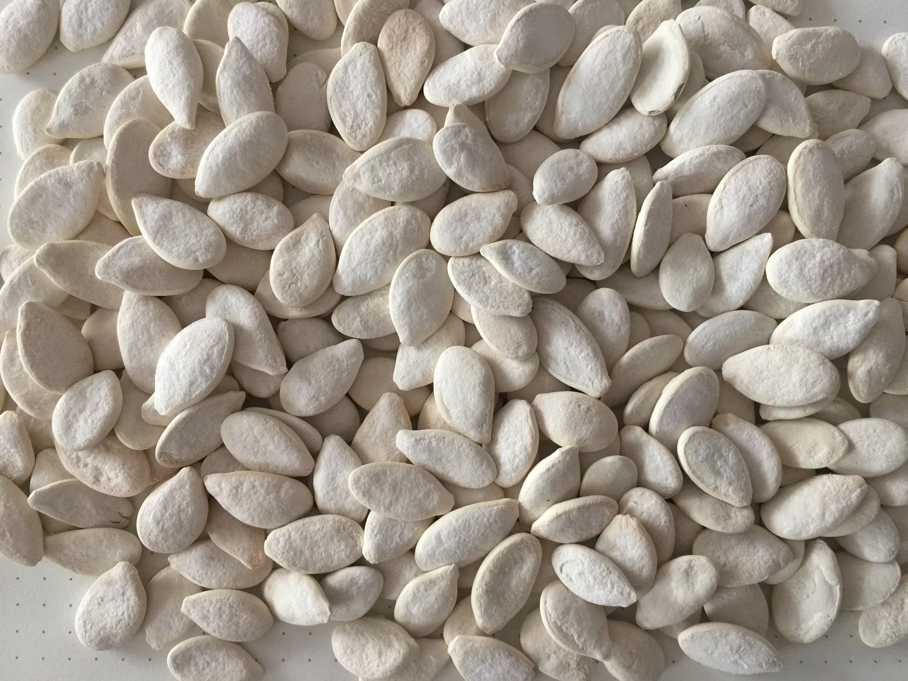 Roasted Nuts & Seeds Healthy Snack Pumpkin Seeds 12cm