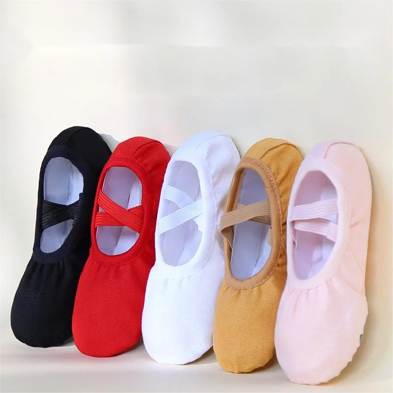 Canvas Training Cat Claw Lace-up Soft Ballet Dance Shoes for Women