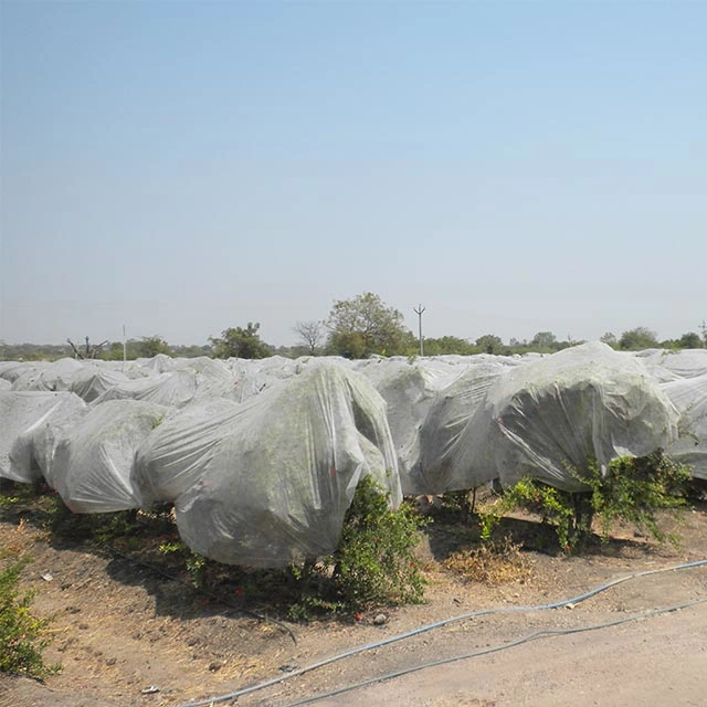 Cubierta vegetal para la cubierta agrícola de jardín PP Spunbond tela no tejida Tela no tejida tela ligera de tela impermeable DOT