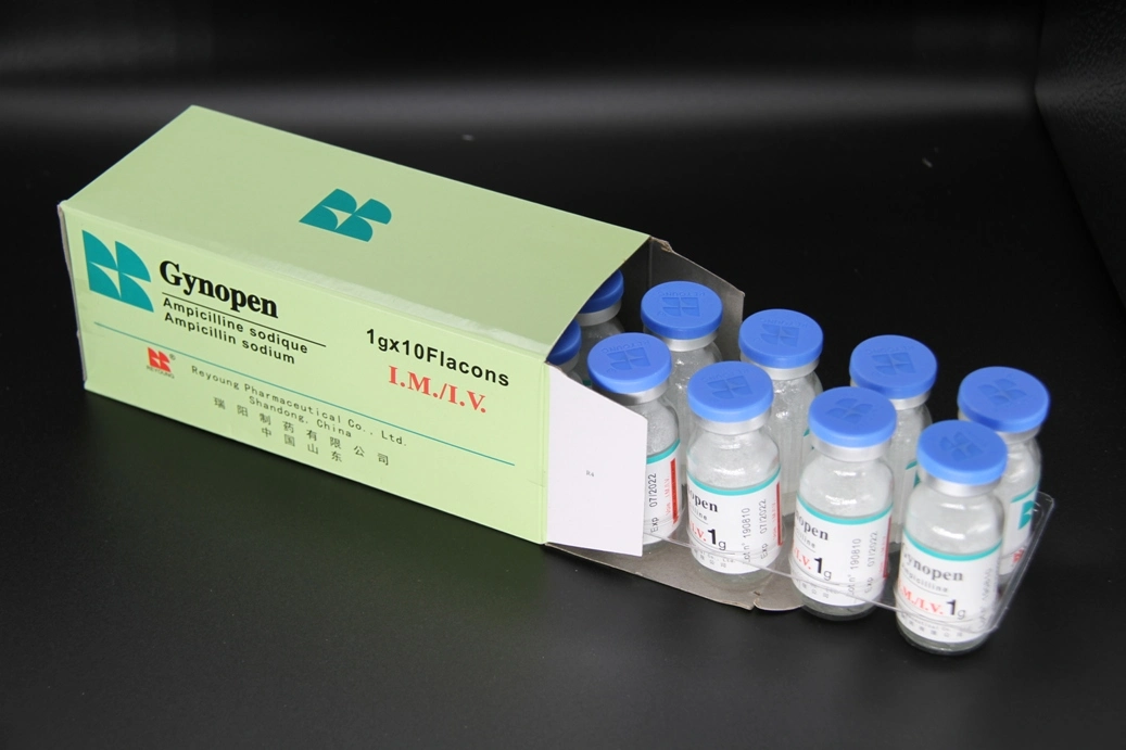 GMP Certified Ampicillin Sodium for Injection