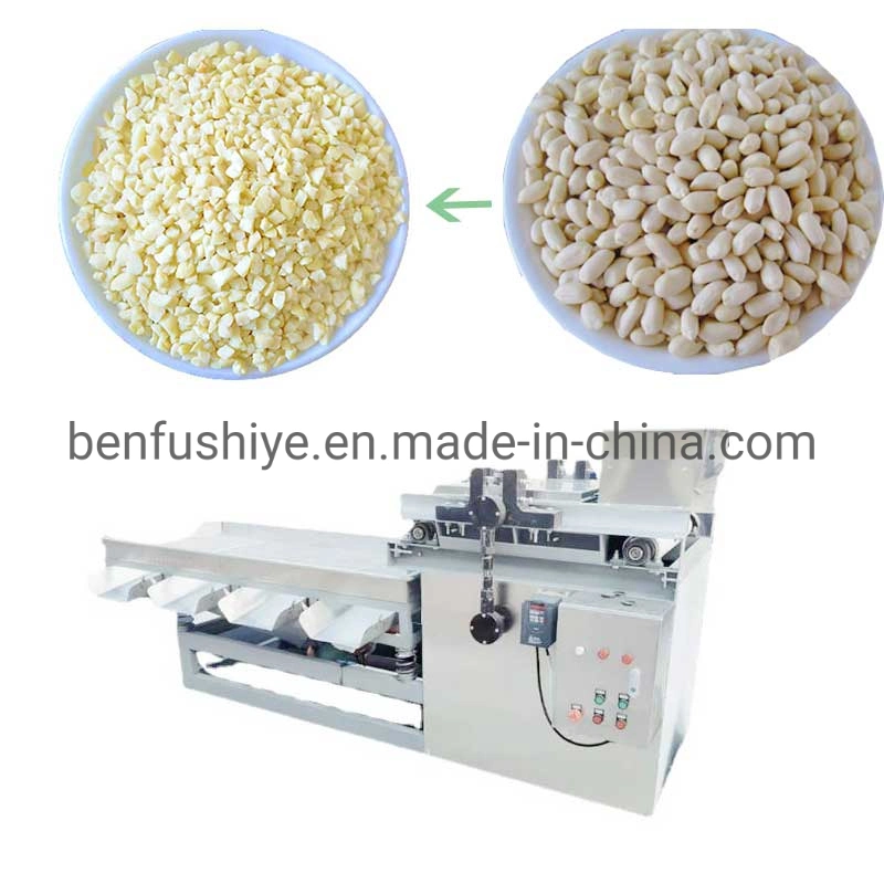 Palm Kernel Cashew Peanut Betel Nut Cutting Crushing Machine Cashew Nut Chopper