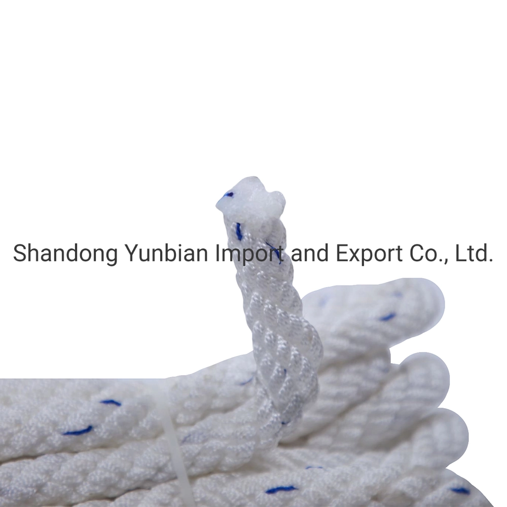 Outdoor Equipment 10mm-16mm Safety Polyester Climbing Rope