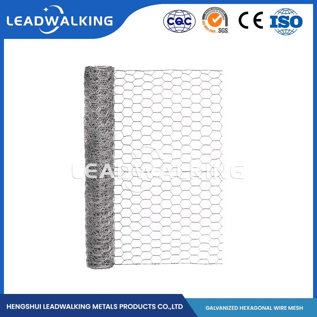 Leadwalking China alambre de pollo malla tamaños fábrica alambre de cobre material Malla de 3/4 pulgadas de Red Hex Galvanizada