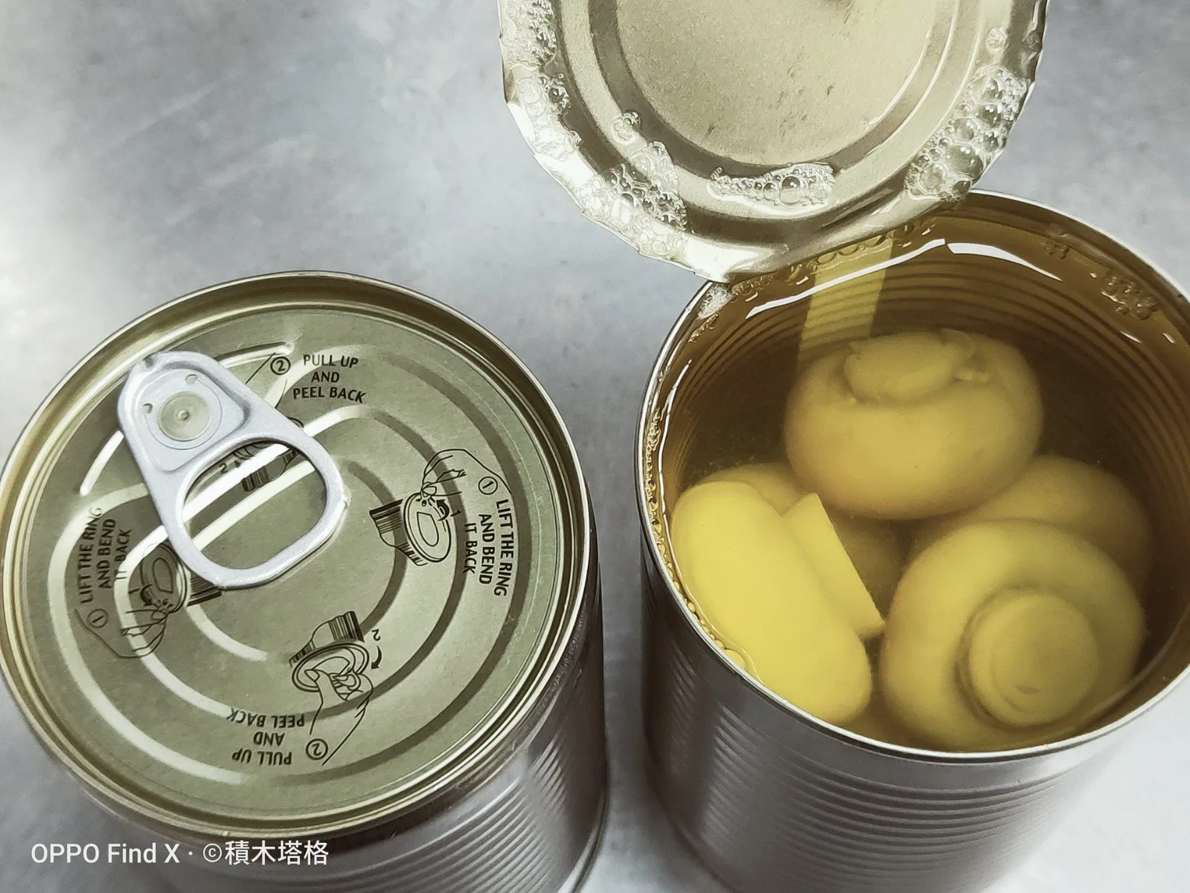 Fresh Mushroom Canned Whole Mushroom in Easy Open Lid