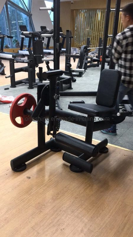 Top Quality Red Devil Ls-Rdw10 Sports Fitness Equipment for Seated DIP