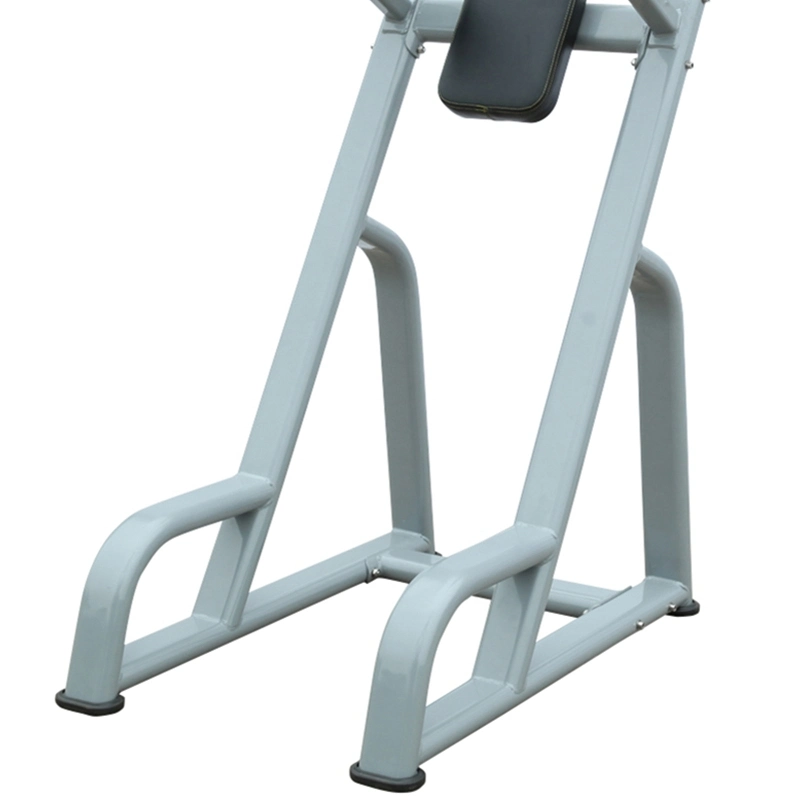 Best Exercise Fitness Equipment Vertical Kness up/DIP for Gym (AXD-8047)